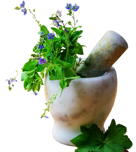 Image of medicine